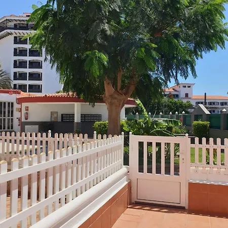 公寓 Alegra Beach Duplex 马斯帕洛马斯